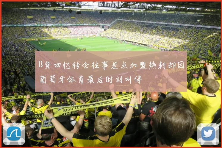 B费回忆转会往事差点加盟热刺却因葡萄牙体育最后时刻叫停